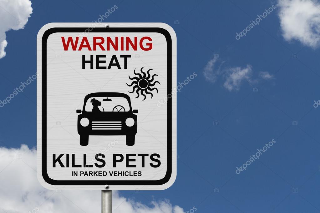 logo pet in car